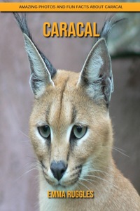 Caracal