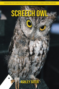 Screech Owl