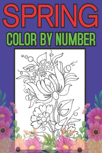 Spring Color By Number