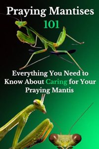 Praying Mantises 101