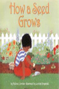 Let's-Read-and-Find-out Science: How a Seed Grows