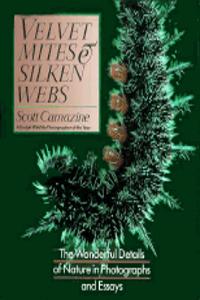 Velvet Mites and Silken Webs