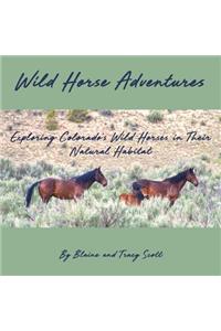 Wild Horse Adventures: Exploring Colorado's wild horses in their natural habitat