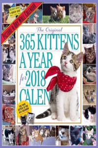 365 Kittens-A-Year Picture-A-Day Wall Calendar 2018