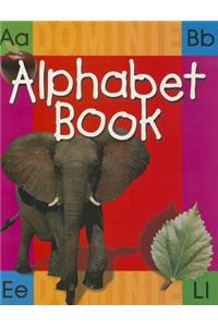 Big Alphabet Book - Revised