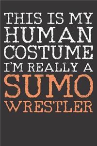 Sumo Notebook