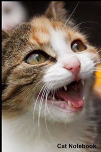 Cat Notebook