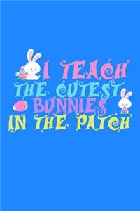 I Teach the Cutest Bunnies in the Patch
