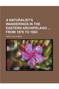 A Naturalist's Wanderings in the Eastern Archipelago from 1878 to 1883