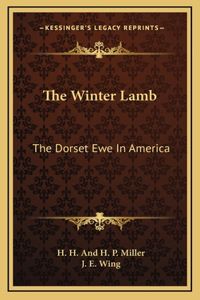 The Winter Lamb