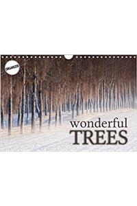Wonderful Trees 2018