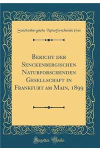 Bericht Der Senckenbergischen Naturforschenden Gesellschaft in Frankfurt Am Main, 1899 (Classic Reprint)