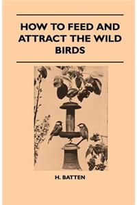 How To Feed And Attract The Wild Birds