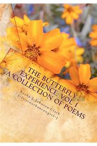 The Butterfly Experience