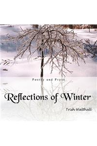 Reflections of Winter