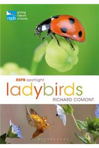 RSPB Spotlight Ladybirds