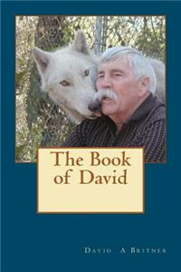 Book of David