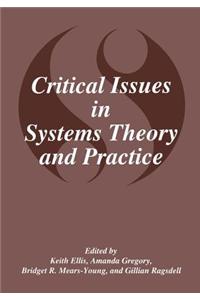 Critical Issues in Systems Theory and Practice