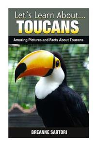 Toucans: Amazing Pictures and Facts about Toucans