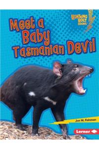 Meet a Baby Tasmanian Devil