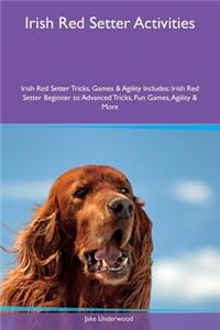 Irish Red Setter Activities Irish Red Setter Tricks, Games & Agility Includes