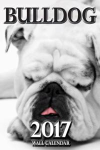 Bulldog 2017 Wall Calendar