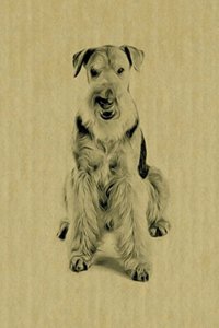 Airedale: Artified Pets Dog Journal/Notebook/Diary
