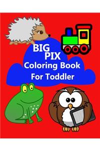 Big Pix Coloring Book for Toddler