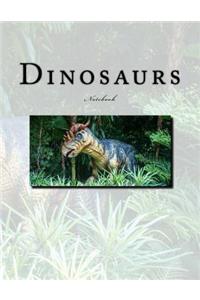 Dinosaurs Notebook