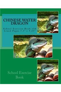 Chinese Water Dragon School Exercise Book