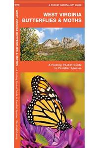 West Virginia Butterflies & Moths