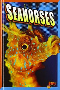 Seahorses