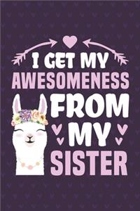 I Get My Awesomeness From My Sister
