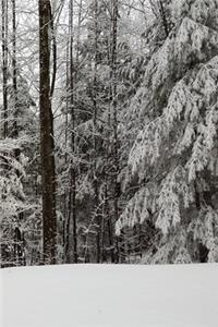 2020 Daily Planner Beautiful Winter Season 388 Pages