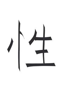 China Sex - Notizbuch, Notizblock, 120 Seiten, Souvenir Geschenk Buch, auch als Dekoration geeignet zum Geburtstag oder Weihnachten