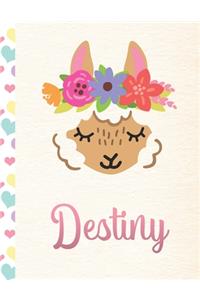 Destiny