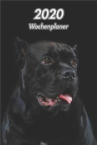 2020 Wochenplaner