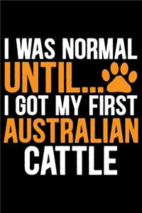 I Was Normal Until I Got My First Australian Cattle