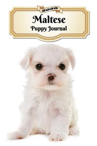 2020 Maltese Puppy Journal