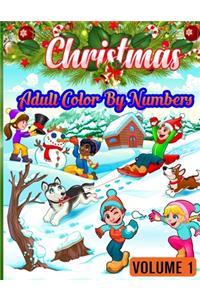 Christmas Adult Color By Numbers ( Volume 1 )