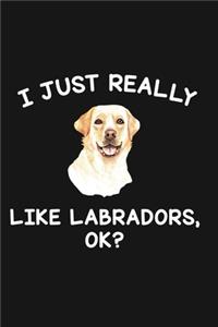 I Just Really Like Labradors Ok