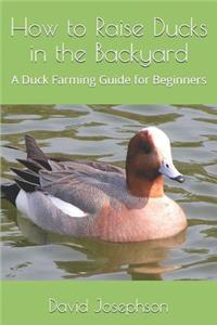 How to Raise Ducks in the Backyard