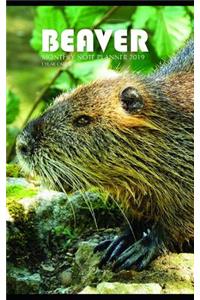 Beaver Monthly Note Planner 2019 1 Year Calendar