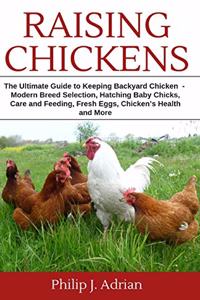 Raising Chickens