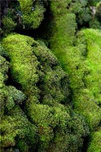Green Moss - Blank Notebook