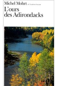 Ours Des Adirondacks