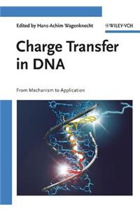 Charge Transfer in DNA