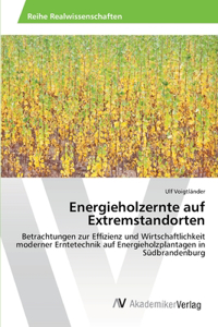 Energieholzernte auf Extremstandorten