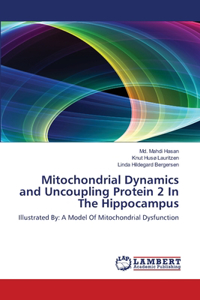 Mitochondrial Dynamics and Uncoupling Protein 2 In The Hippocampus
