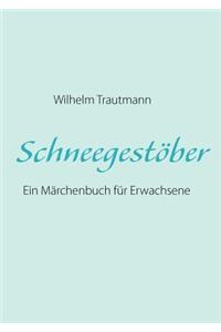 Schneegestober